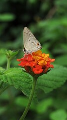 Días bonitos para fotografiar la hermosa Naturaleza.