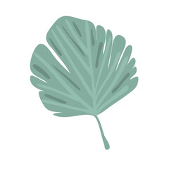 vector hand drawn tropical palm leaf. Exotic  plants.