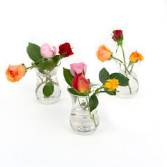 Minimalist composition of multicolored roses in glass vases. Holiday Greeting Card.