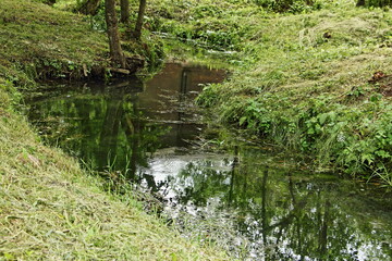 Beautiful windy little river with green trees reflection in water in European forest Park on summer day