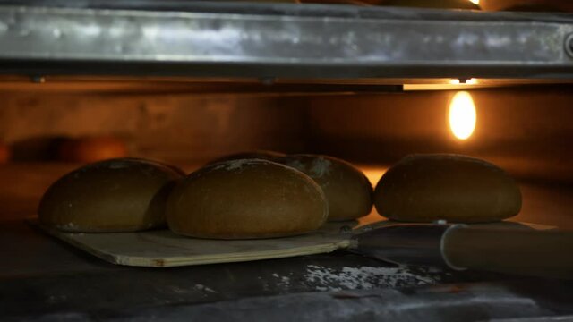 Close up of freshly baked bread taken out of the oven