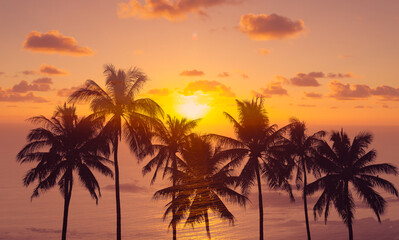 Fototapeta na wymiar Beautiful sunset sky and palm trees 
