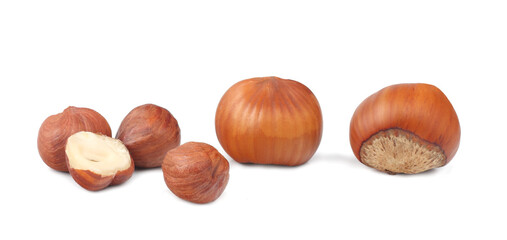 Hazelnuts isolated on a white background