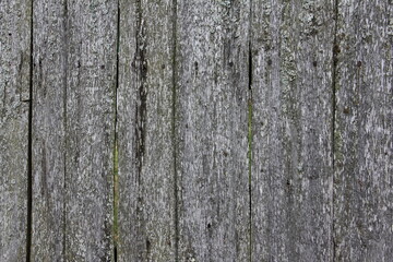 Old weathered wood plank vertical texture close up for rural background