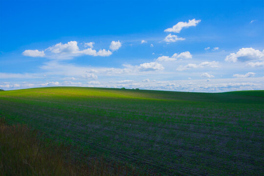 Green landscape, field and blue sky, almost like windows XP screen, nature, countryside