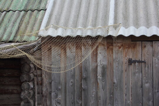 Gray weathered rural wooden shed with a drying fishing  net, old rustic view on piscatorial village yard on autumn evening