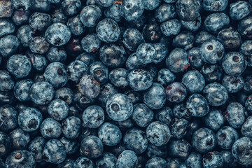 Blueberry background. Texture of blueberry berries close up.Vegetarian concept.