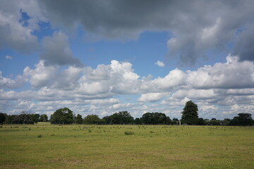 landscape field with clouds and sky