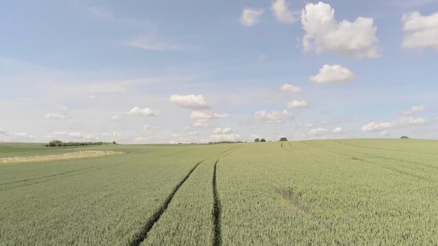 A Vast Landscape Of Lush Green Arable Farmland In Bertem, Belgium - Wide Shot (Backward)