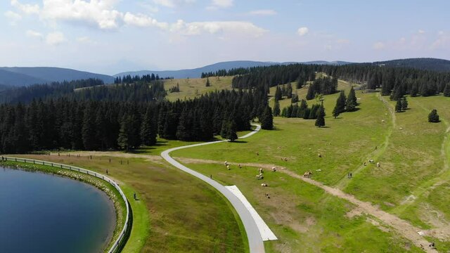 Walking trail aside from lake in Rogla resort in Slovenia during springtime with people below, Aerial flyover shot