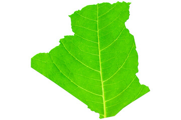 Map of Algeria in green leaf texture on a white isolated background. Ecology, climate concept. . 3d illustration.