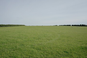green field and sky