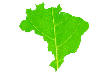 Map of Brazil in green leaf texture on a white isolated background. Ecology, climate concept. 3d illustration.