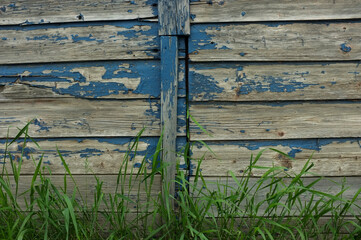 blue and white painted old barn with green grass