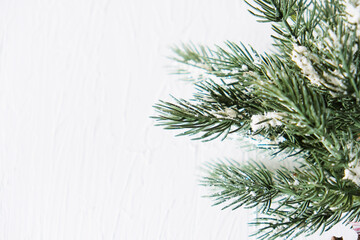Christmas tree branch decoration on white background.