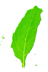 Map of Taiwan in green leaf texture on a white isolated background. Ecology, climate concept. 3d illustration.