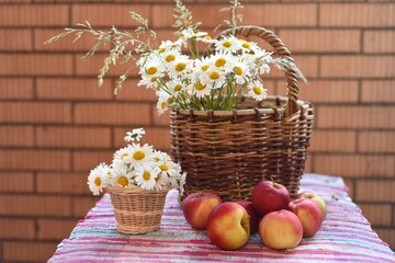A large bouquet of daisies in a wicker basket, a small bouquet - in a pot on a woven striped bright carpet. Ripe juicy apples lie nearby.
