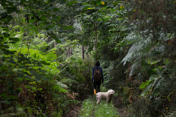 Fototapeta premium girl in blue sweatshirt with stars and brown backpack and book in hand with a white dog walking along a path with vegetation in Asturias.