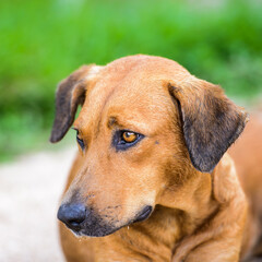 It's  could not find /Volumes/JPEG-LACIE/JPEG/2012-16/ALL/itunes