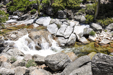 stream in the forest