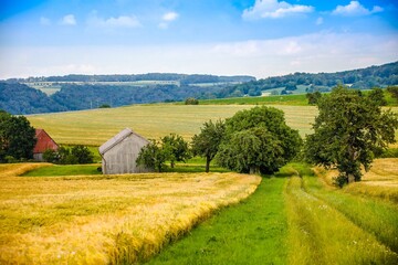 Hütte auf einem Feld in Hohenlohe, Deutschland 
