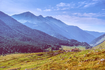 Mountain landscape with trees and house. forest