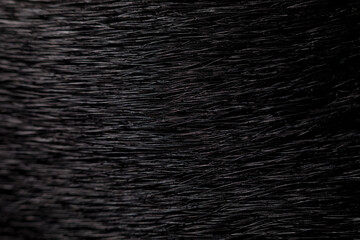 Schwarzes Hundefell als Hintergrund.