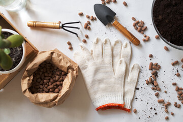 Girl gardener planting flowers. Transplant house plant. Cultivation in flower pot. Natural greenery in home, plant care. Tools for botany. Garden rake, ground shovel and gloves. Gardening fertilizer