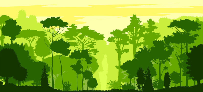 Forest silhouette deciduous. Vector. Summer landscape. Jungle.