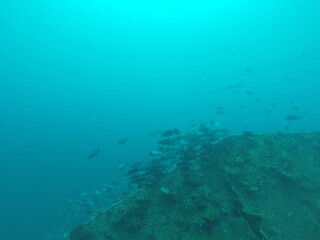 Plongée sous marine aux îles Gili, Indonésie 