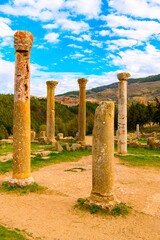 Multiple columns of Djemila, the archaeological zone of the well preserved Berber-Roman ruins in...