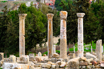 Ruins and the nature of Djemila, the archaeological zone of the well preserved Berber-Roman ruins...