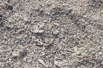Coraux mort sur une plage à Gili Meno, Indonésie