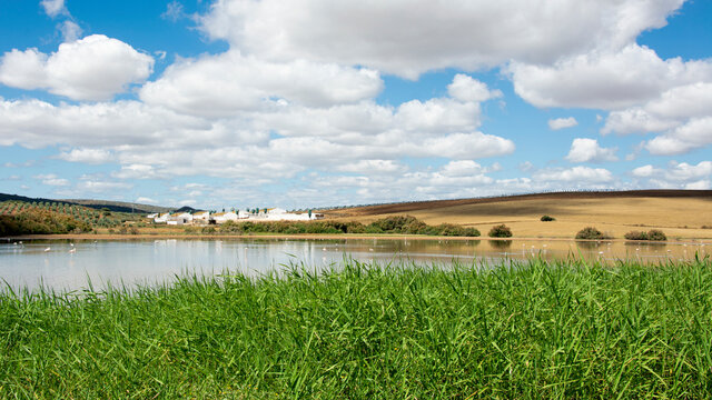 Landscape with lake and clouds, Campillos, Malaga