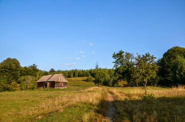 Obraz premium Wooden shepherd house with beautiful yellow and green meadow near forest. Traditional rural landscape in mountains. Carpathians, Ukraine.