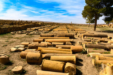 Columns of Timgad, a Roman-Berber city in the Aures Mountains of Algeria. (Colonia Marciana Ulpia...