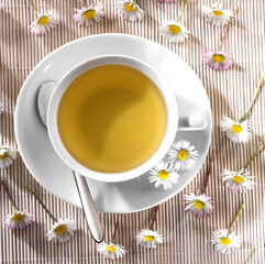 tazza di camomilla.esclusiva tips.realese: tutti gli utilizzi.realese model: no