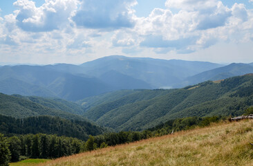 Summer landscape with meadow, green hills and reservoir under blue sky above the Ukrainian Carpathian Mountains 