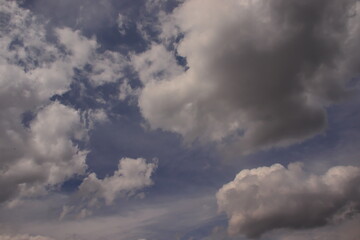 Fototapeta premium little fluffy white cumulus clouds floating together in a heavenly blue sky covered by a fine mist.