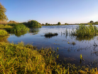 Fototapeta Rozlewisko rzeki Odry. obraz