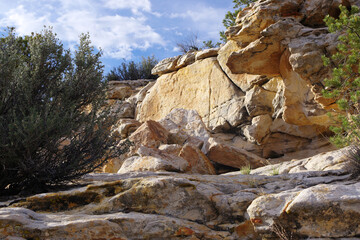 Fototapeta na wymiar Upward view of sandstone rocks, plants and shadows with a blue sky and clouds in the background