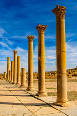 Ruins of Timgad, a Roman-Berber city in the Aures Mountains of Algeria. (Colonia Marciana Ulpia...
