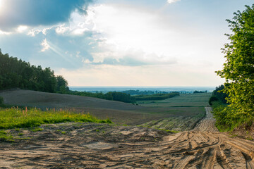 Pole łąka droga drzewa niebo chmury