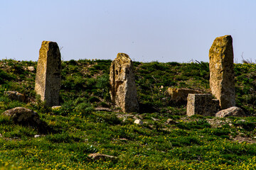 Madauros, a Roman-Berber city in the old province of Numidia, Algeria