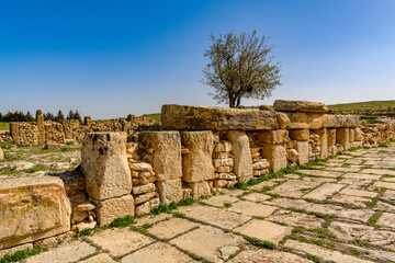 Ruins of Madauros, a Roman-Berber city in the old province of Numidia, Algeria