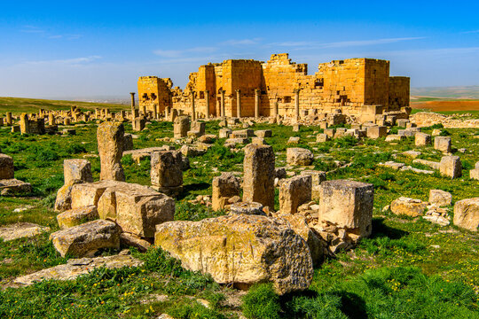 Ruins of Madauros, a Roman-Berber city in the old province of Numidia, Algeria