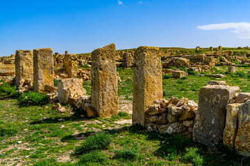 Ruins on the grass of Madauros, a Roman-Berber city in the old province of Numidia, Algeria