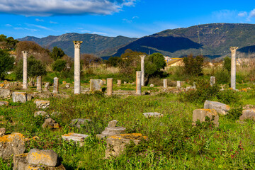 Columns of Hippo Regius, a Phoenician, Berber and Roman city, Annaba Province, Algeria.