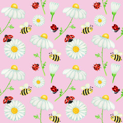 Watercolor daisy chamomile flower seamless pattern with fly ladybug, bee illustration. Hand drawn botanical herbs on pink background. White flowers, buds, stems, grass. Wild botanical garden bloom