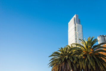 Landscape in modern city of skyscrapers with blue sky and palm trees
